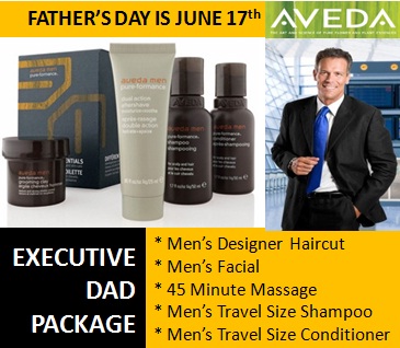 executive dad package 2